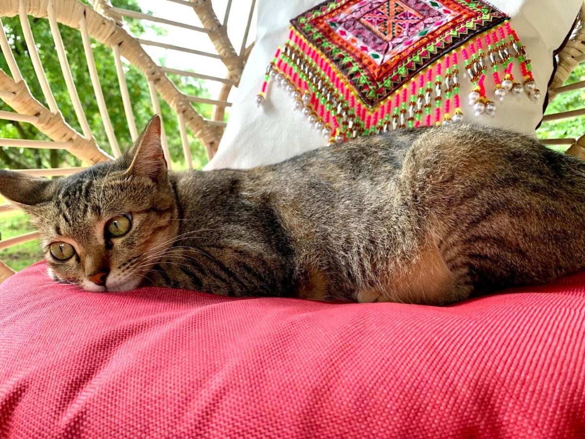 Pensión La Maison - Chiangmai Mae Taeng